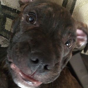 Meet your Posher, Mya